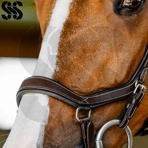 Brida para Caballo Duradera, Totalmente Personalizable, Ajustable, de Alta Calidad, Cuero Suave, Acolchado Suave, Herrajes de Acero Inoxidable, Colores Personalizados - Product Image 6