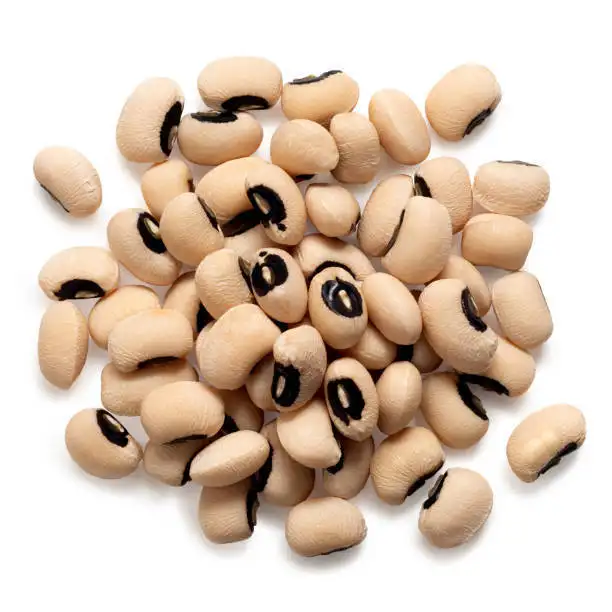 Yüksek kaliteli saf doğal siyah gözlü bezelye fasulye ukrayna cowbeans fasulye organik siyah göz beyaz fasulyeler satılık