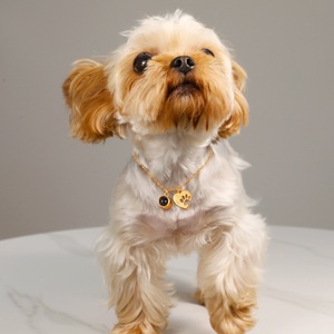 Jeulia Petland Custom Name Heart and Paw Photo <b>Projection</b> Pendant <b>Necklace</b> - Product Image 5