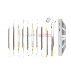 Kit de Instrumentos para Higienistas Dentales, 10 Piezas, Manual, Acero Inoxidable Alemán, Casete de Esterilización, Profesional, Profilaxis - Product Image 1
