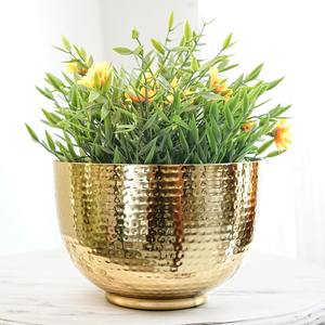 Maceta Dorada de Estilo Modesto para Plantas de Interior y Exterior, Decoración Moderna para Sala de Estar, Jardín, Balcón y Mesa, Venta al por Mayor desde India - Product Image 6
