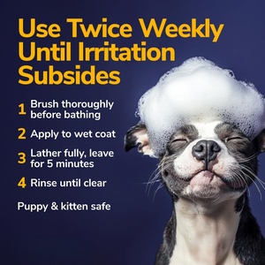 Medicinale Hondenshampoo Voor Immuunondersteuning En Jeukende Huidverlichtingsgist Infectie Hotspot & Droge Huid Anti-Jeuk Behandeling Graanvrij - Product Image 2