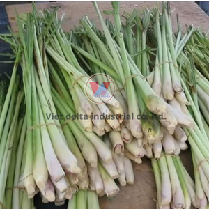 CITRONNELLE DU VIETNAM DE MEILLEURE QUALITÉ AVEC HÉCHÉ CONGELÉ - Product Image 1