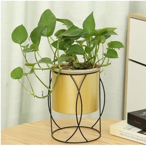 Hermosas mini macetas de metal hechas a mano para jardín, balcón, sala de estar, nuevos diseños de moda para la decoración del hogar - Product Image 3