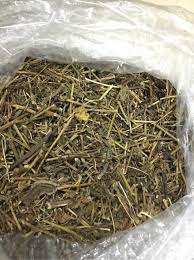 Passiflora foetida seca, producto de fabricación y exportación de fábrica de Vietnam - Product Image 2