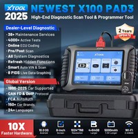XTOOL X100 PAD3 Programmatore di Chiavi IMMO, Riprogrammazione Chiavi Perse, Scanner OBD2, Strumento Diagnostico Auto con KC100