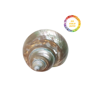 Porte-serviettes écologiques de qualité supérieure Décor fait à la main pour banquets élégants Restauration à base de coquillages naturels polis - Product Image 6