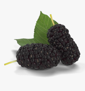 mulberryfreshfruitsuppliers