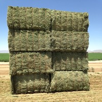 Cubes de foin d'alfalfa de qualité alimentaire certifiée Premium, 100% naturel, riche en protéines, 2% d'humidité, durée de conservation de 2 ans, pour chevaux, chiens, poissons, porcs