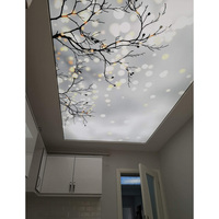 Plafonds en PVC imperméables et ignifuges au design moderne, finition vinyle extensible, isolation thermique, différentes tailles, options de couleurs, intérieur