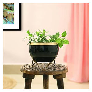 Vente en gros Jardinière décorative en métal avec supports Luxe Prix de gros Intérieur Extérieur Jardin Balcon Cuisine Salon - Product Image 5