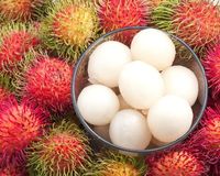 Menawarkan produk buah tropis RAMBUTAN segar dari Vietnam DENGAN HARGA TERBAIK 100% kualitas tinggi siap ekspor