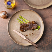 Assiettes à dîner en porcelaine fine marron à glaçure réactive, directement de l'usine de vaisselle en céramique YAYU, pour restaurants, bistrots et cafés