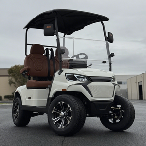 Best 1–2-Seater Electric Off-road Golf Cart/Golf Buggy with Lithium Battery 4KW System Cheap Price Metal Steel <b>Plastic</b> Hunting - Product Image 4