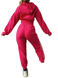 2025 Offre Spéciale dames sweat à capuche court vêtements d'entraînement ensembles Logo personnalisé brodé solide motif survêtements pour filles pour l'hiver Air - Product Image 6