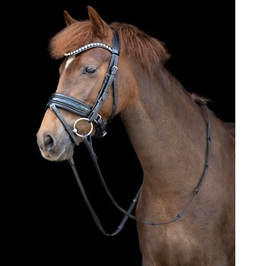 Bride Snaffle - Product Image 5