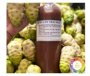 Taste Pure Morinda Noni Juice Vietnams Jugo de Noni de alta calidad Listo para la exportación Las mejores ofertas Jugo de Morinda fresco disponible ahora - Product Image 6