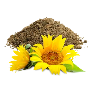 Hochwertige Sonnenblumenmehl für Tierenfutter/Sonnenblumenpellets