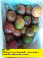 Hoge kwaliteit verse passievrucht met paarse schil, natuurlijk tropisch fruit, ISO-gecertificeerd voor sapverwerking, export Vietnam