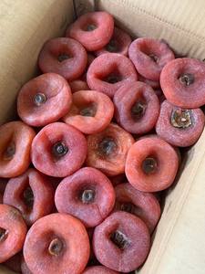 Caqui Seco Vietnamita, Fruta Natural Dulce y Masticable, Mejor Precio al por Mayor - Product Image 2