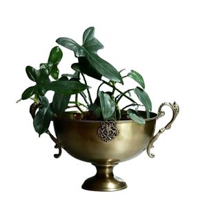 Bols à fruits en métal personnalisés pour la maison et la décoration de table du fabricant indien au prix de gros - Product Image 1