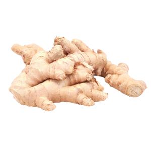 Jengibre Viejo Fresco de la Mejor Calidad, Nueva Temporada, 25 kg, Origen UE, Calidad de Exportación - Product Image 2