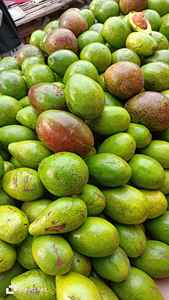 Aguacates Hass orgánicos de primera calidad Venta entera Cosecha fresca con variedad cultivada de alto valor nutricional - Product Image 2