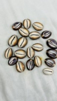 Perles en coquillages cauris naturels en gros, taille personnalisée avec trou, emballage en vrac pour cadeaux de plage, accessoires de bijoux DIY, disponible en promotion