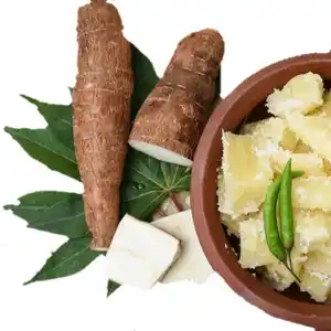 Akar Singkong/Tapioka/Manioc/Yucca Segar