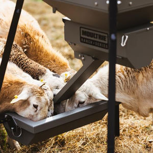 JH-Mech ทนทานต่อสภาพอากาศระบบป้อนกวางแบบสองหัวแบบรางสำหรับงานหนักโครงเหล็กแบบลื่นไถล - Product Image 4