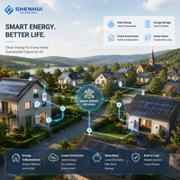 Batterie au phosphate de fer et de lithium 51,2 V 314 Ah à installation facile, plus de 6000 cycles, fonction de charge rapide pour équipement énergétique extérieur