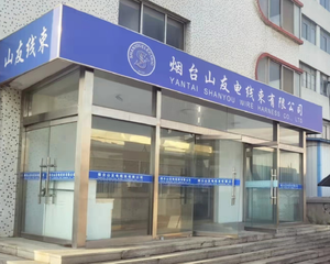 电子计算机汽车用定制铜电缆组件用聚四氟乙烯聚氯乙烯尼龙橡胶绝缘TUV - Product Image 5