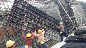 Panneaux de coffrage pour murs de soutènement pour la construction en béton structurel - Product Image 5