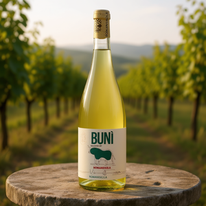 Italian White <b>Wine</b> ROMANDIOLA Brun Grechetto Bianco Ravenna IGT 750ml Delicate Fruity 6 Bottles Per Pack Made in Italy - Product Image 3