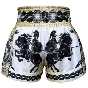 Shorts de combat MMA, vêtements de combat, légers, extensibles, confortables, respirants, shorts MMA, logo et design personnalisés - Product Image 4