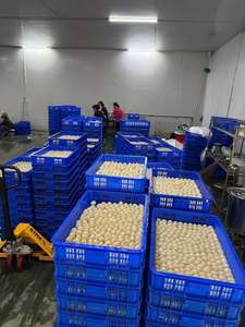 Iqf ลิ้นจี่แช่แข็ง | ผลไม้เมืองร้อนธรรมชาติ | คุณภาพการส่งออก - Product Image 2