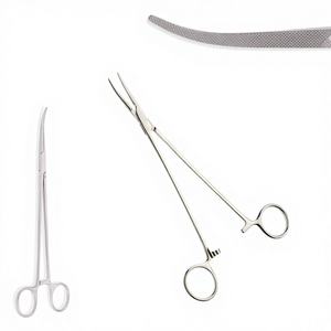 Bengolea Forceps Straight Stainless Steel 25cm <b>Surgical</b> Surgery <b>Instruments</b> <b>Surgical</b> <b>Instruments</b> Manufacturer Pakistan - Product Image 1