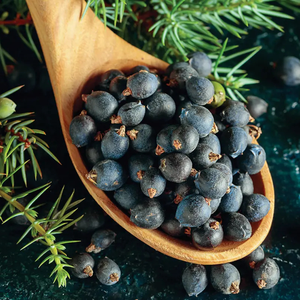 Bayas de Juniperas Secas Orgánicas Naturales de Primera Calidad, Suministro Internacional a Granel, Nueva Temporada, Servicio de Marca Privada OEM - Product Image 2