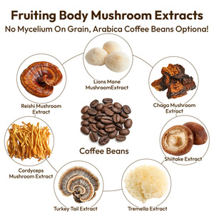 Vital Green Marque Privée Chine Mélange Adaptogène de 7 Champignons à base de plantes Goût Cappuccino Cacao Préparation en <span class=keywords><strong>Poudre</strong></span> pour Boisson - Product Image 2