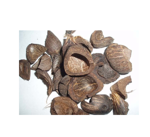 Cáscara de Nuez de Palma Premium, Fuente de Energía Biomasa Natural, Disponible en Grandes y Pequeñas Cantidades, de Austria, Venta al Por Mayor - Product Image 3