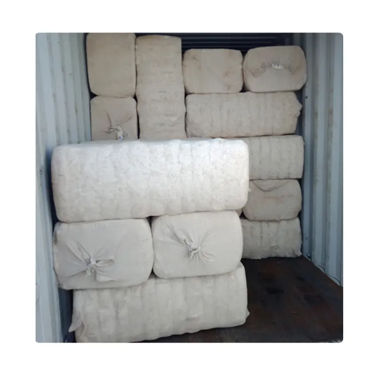 Export Quality Wholesale Selling Shankar 6 /S6 Variety High Strength Cotton Bales for Genuine Bulk Purchasers