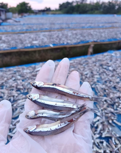 Anchoas 100% Orgánicas, Secas por Congelación, Congeladas al Vacío, Saladas, Bajas en Azúcar, envasadas al Vacío, de Primera Calidad, Sin Gluten, con 68% de Proteína - Product Image 4