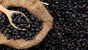 PureBlackGram: polvo de frijol negro totalmente natural para consumidores con conciencia ecológica. - Product Image 3