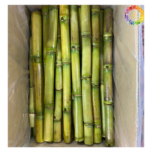 Nuevo Cultivo de jugo de caña de azúcar congelado BQF IQF palo de caña de azúcar congelado 10 kg/bolsa/caja de cartón embalaje a granel palo de caña de azúcar zumos de frutas - Product Image 4