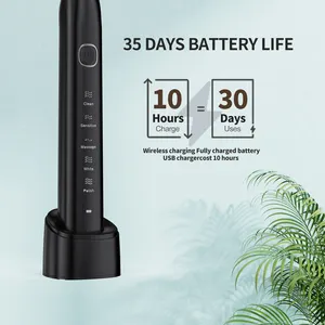 2023 Fashion Design Ipx7 Waterproof Smart Sonic Electric Toothbrush Rechargeable Ultrasonic Vibrating Automatic Toothbrush