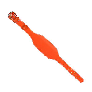 Producto más vendido Cinturón de levantamiento de pesas Nueva llegada Soporte para la espalda Fitness Power Lifting Training Gym Belt para hombres y mujeres - Product Image 2