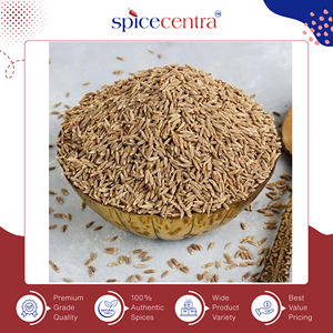 Cumin entier séché brut pur à 100% - Singapour - 1% - Épice de cuisine de haute qualité - Vrai grossiste indien - Prix compétitif - Spicecentra - Product Image 4