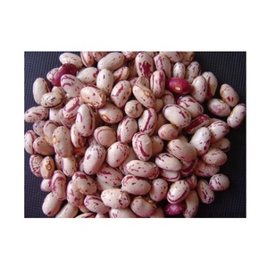 Haricots sucrés légèrement mouchetés |   Haricots Pinto : Achetez en ligne, Offre de Gros, Fabricant, Stock en Vrac, Fournisseur - Product Image 3