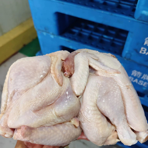ไก่งวงแช่แข็งแบบ IQF ทั้งตัว พร้อมปีก ได้รับการรับรองฮาลาล คุณภาพดีที่สุด - Product Image 1