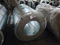Bobina de Acero con Aleación de Zinc, Magnesio y Aluminio Grado EN 10346 DX51D ZM, ZM150 para Soporte de Montaje en Suelo para Seguidores Solares